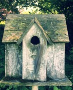 le chant des oiseaux arcencielyoga-atelier-yoga-diamant-3