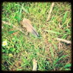 Les 4 directions arcencielyoga-atelier-yoga-diamant-9