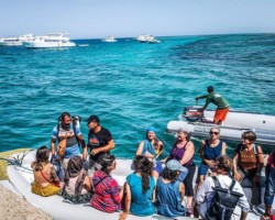 arcencielyoga-yogadiamant&apneemeditative-sortie-dauphins-zodiac